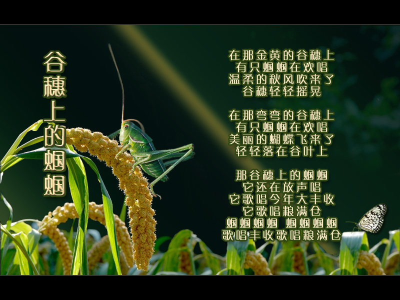 葫芦丝四重奏 示范 曲谱 新增分谱 和伴奏