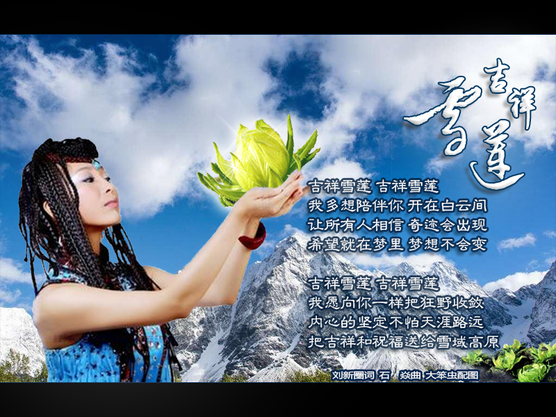 吉祥雪莲简谱_天山雪莲图片