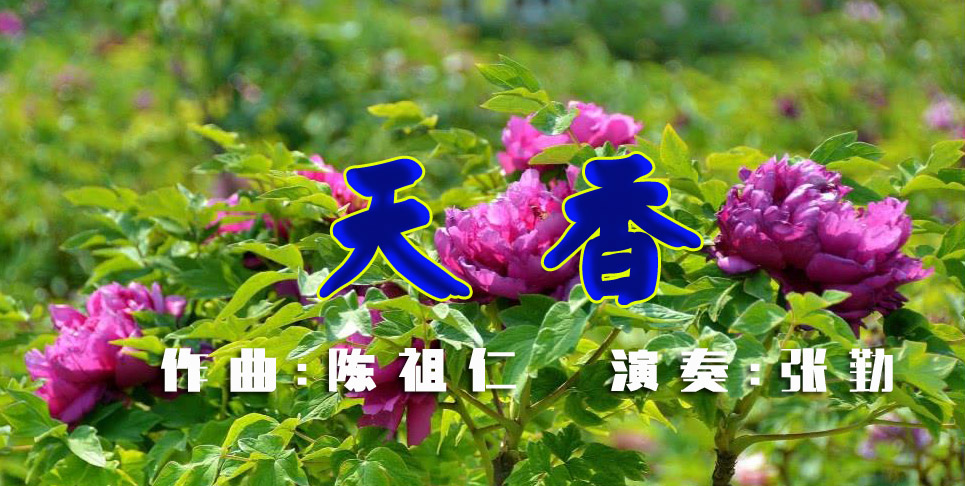 天香简谱_利群国色天香(3)