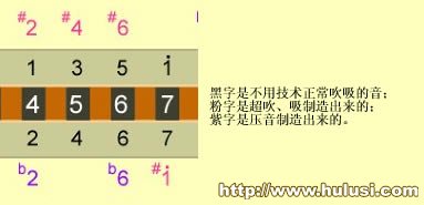 1jx一把位.jpg