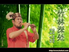 竹林深处简谱_竹林深处(3)
